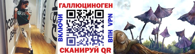 Псилоцибиновые грибы MAGIC MUSHROOMS  где можно купить   Буинск 